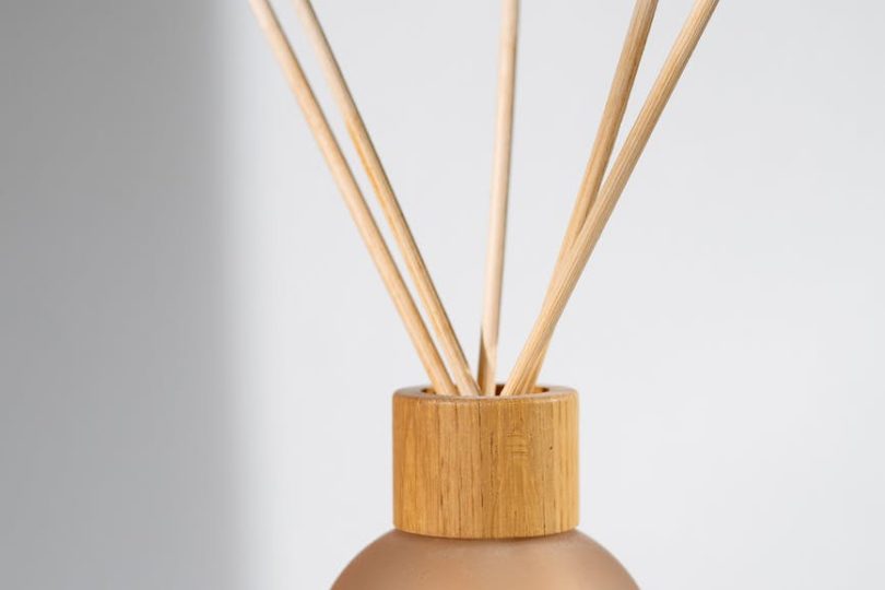 close up shot of diffuser sticks