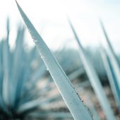 Photo by BRUNO CERVERA on Unsplash